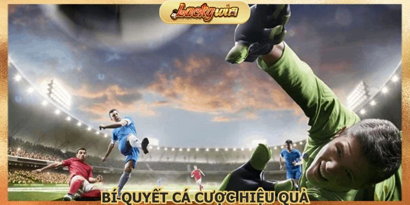 Áp dụng mẹo cược hữu ích được chia sẻ từ cao thủ