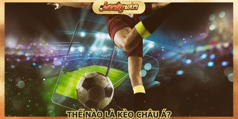 Giới thiệu thông tin cơ bản về dòng kèo châu Á